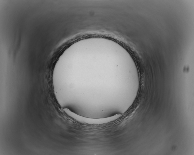 X0000100341494200807031246