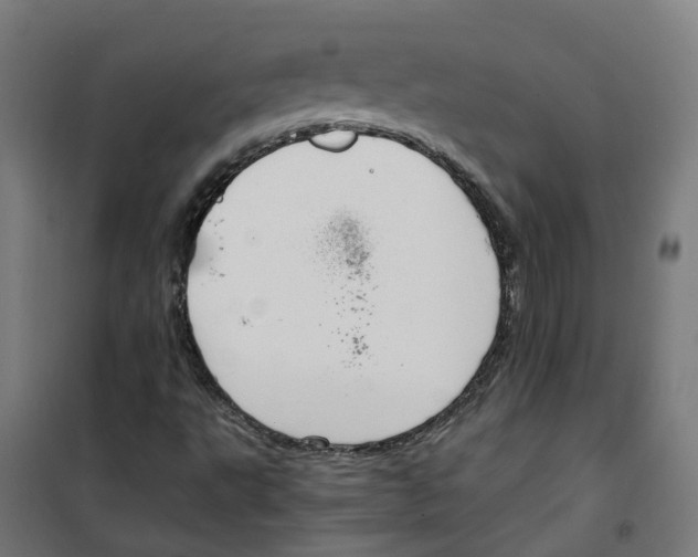 X0000100341495200807031246