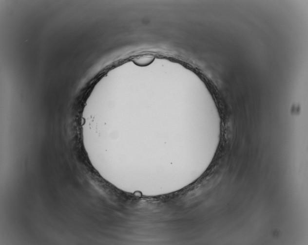 X0000100341496200807031246