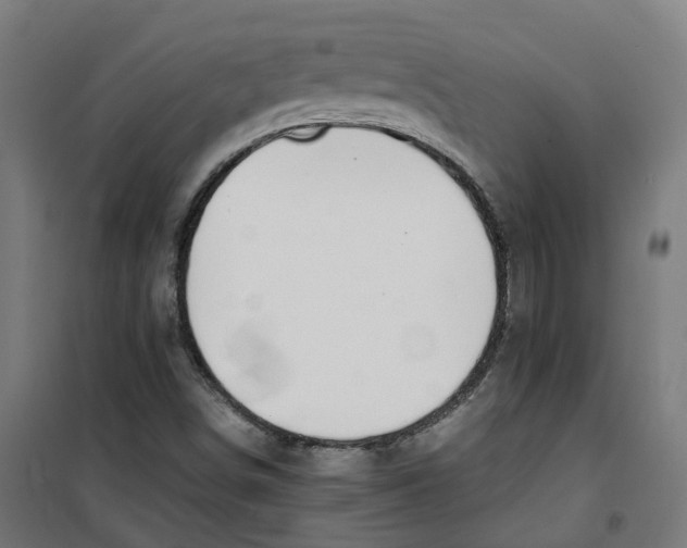 X0000100341498200807031246