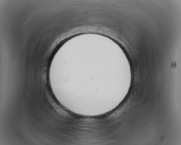 X0000100341499200807031246