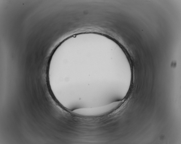 X0000100341500200807031246