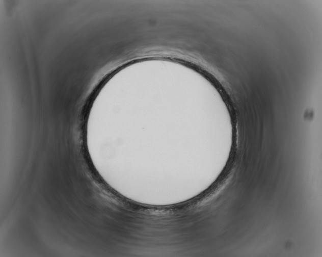 X0000100341501200807031246