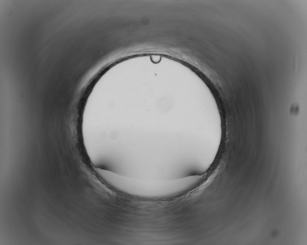 X0000100341502200807031246