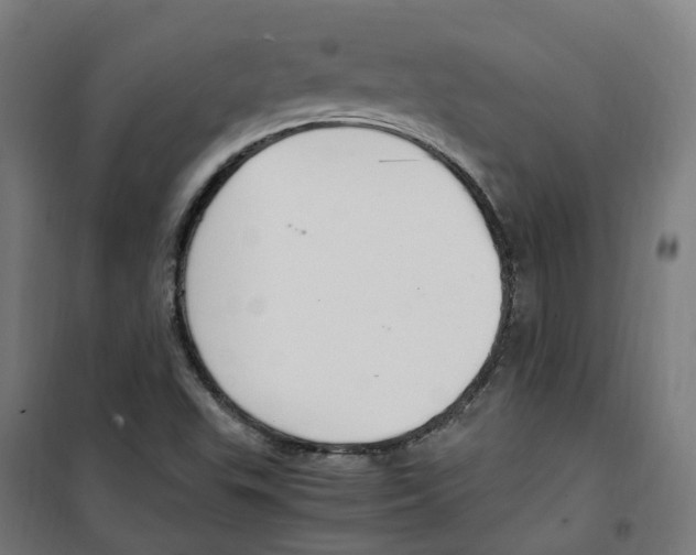 X0000100341503200807031246