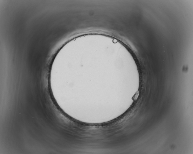 X0000100341504200807031246