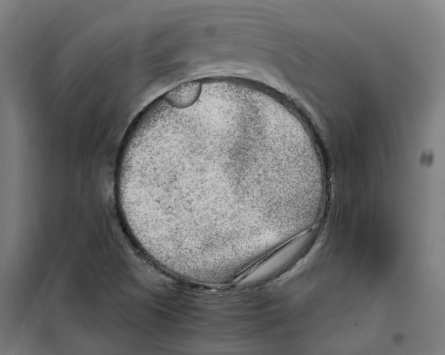 X0000100341505200807031246