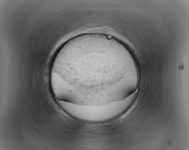 X0000100341506200807031246