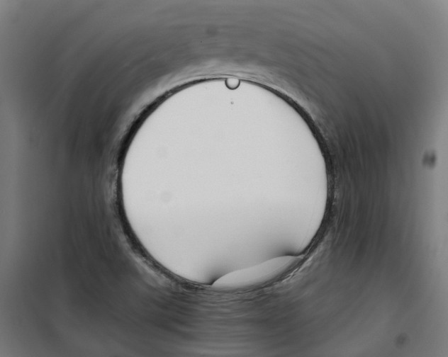 X0000100341507200807031246