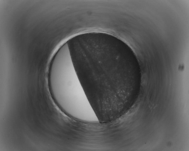 X0000100341508200807031246