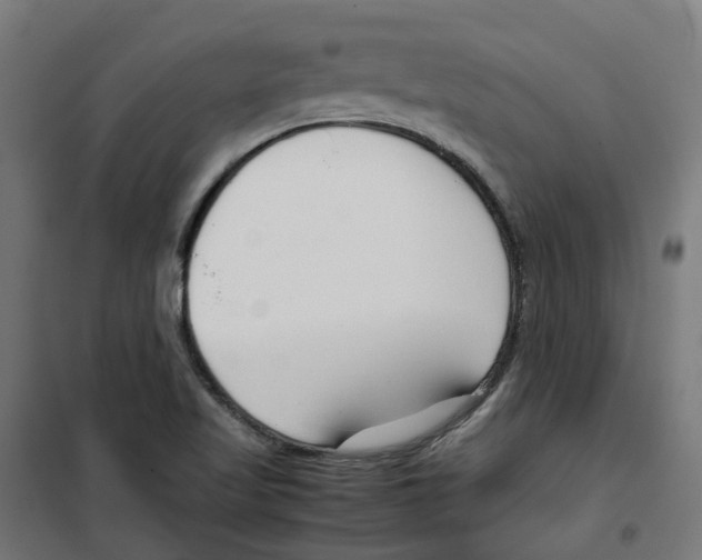 X0000100341509200807031246