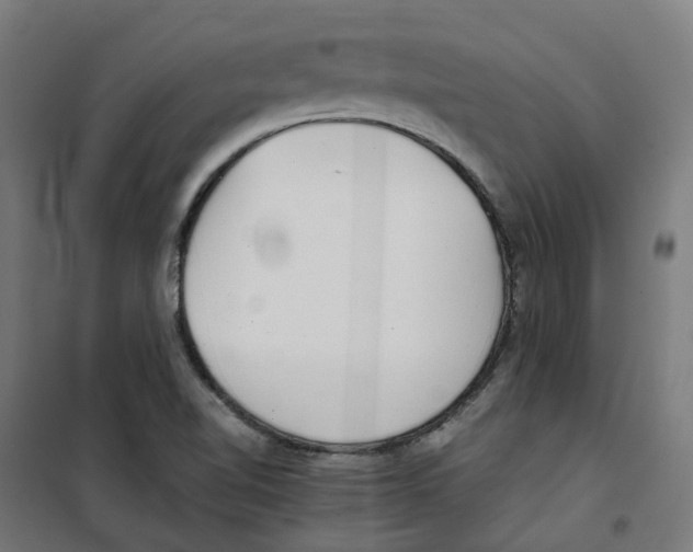 X0000100341510200807031246