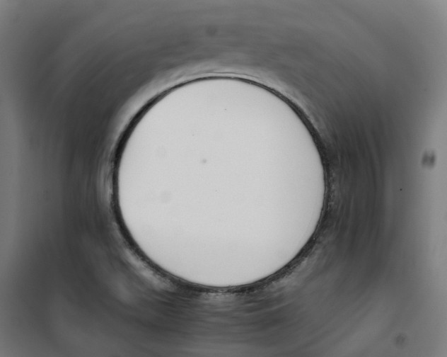 X0000100341511200807031246