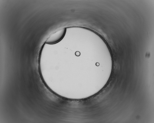 X0000100341512200807031246