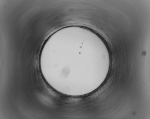 X0000100341513200807031246