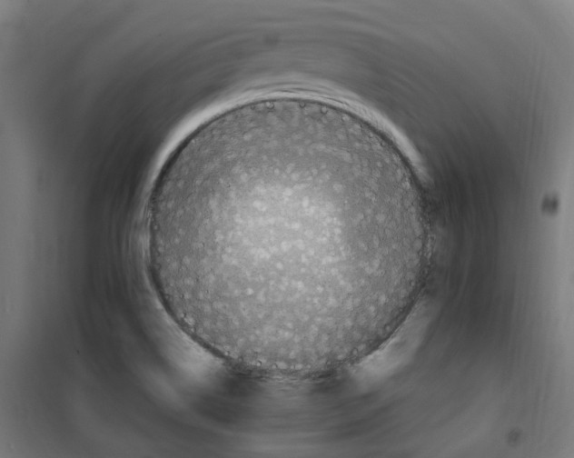 X0000100341514200807031246