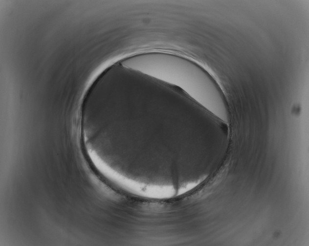 X0000100341515200807031246