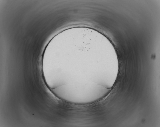 X0000100341516200807031246