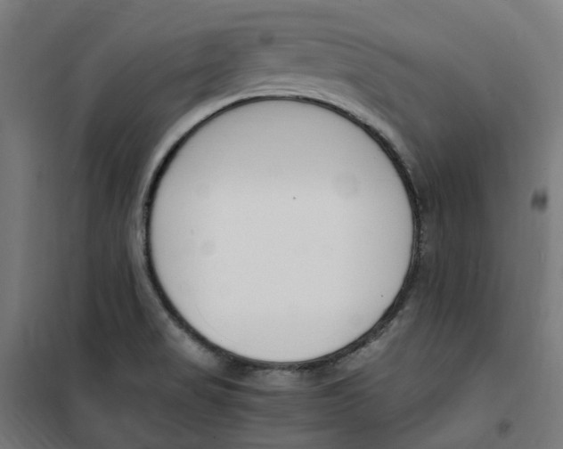 X0000100341517200807031246