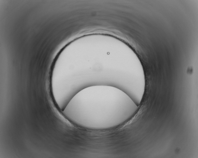 X0000100341518200807031246