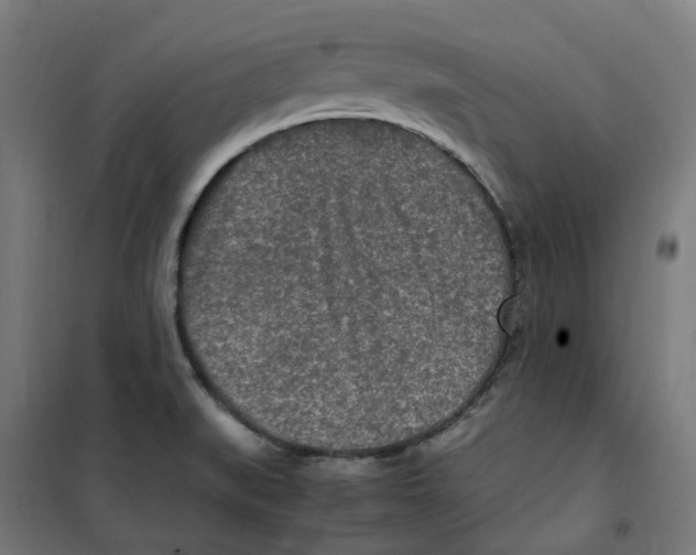 X0000100341519200807031246