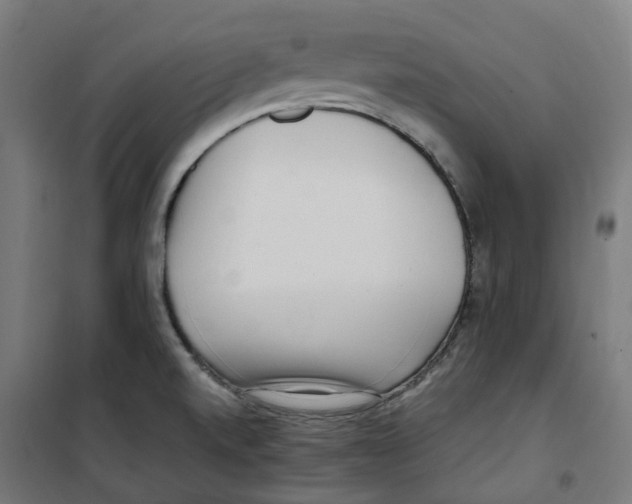 X0000100341520200807031246