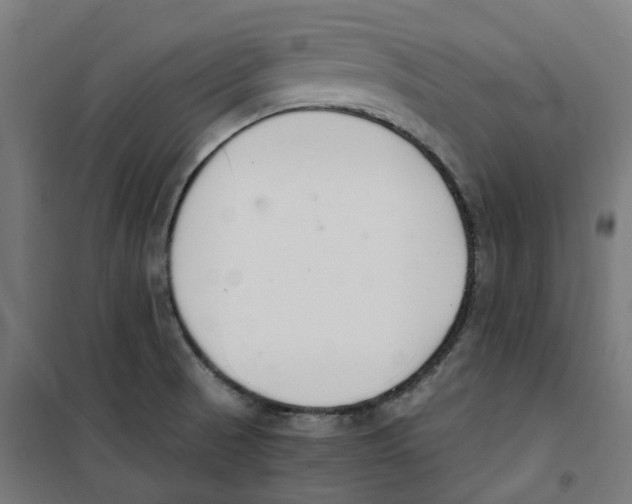 X0000100341521200807031246