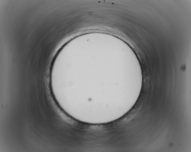 X0000100341523200807031246