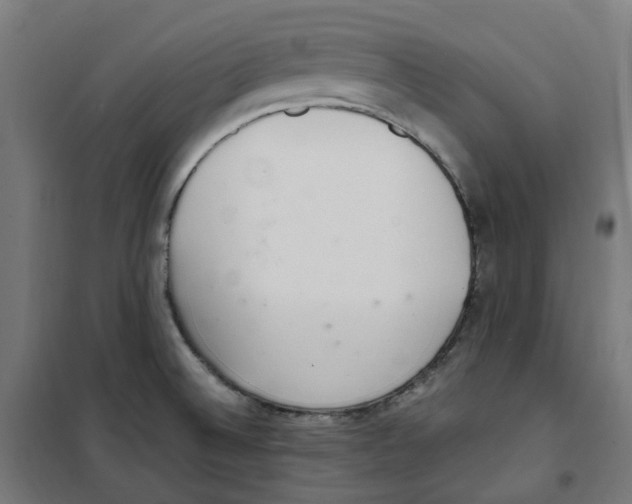 X0000100341524200807031246