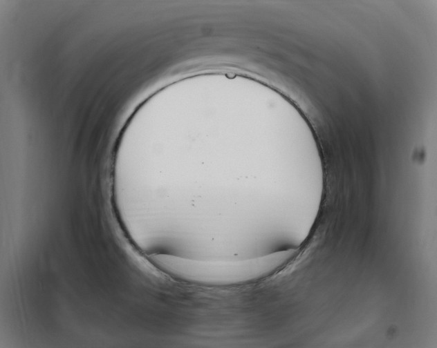 X0000100341526200807031246