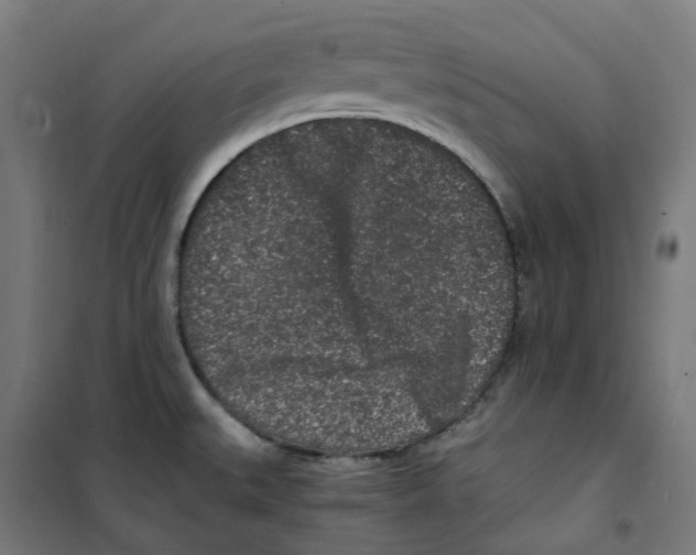 X0000100341527200807031246