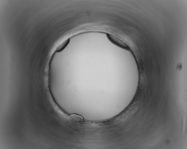 X0000100341528200807031246