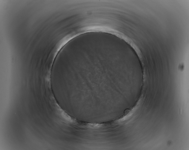 X0000100341529200807031246