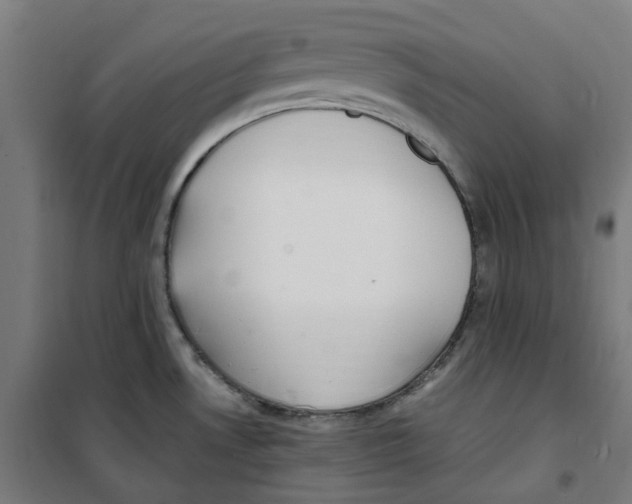 X0000100341530200807031246