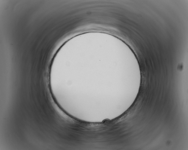 X0000100341531200807031246