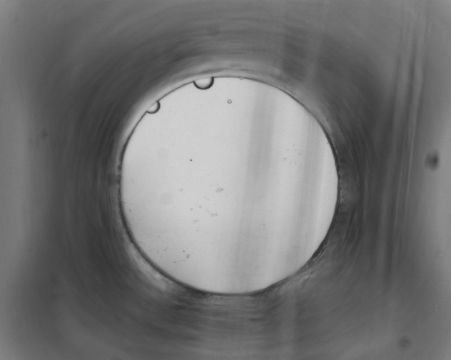 X0000100341532200807031246