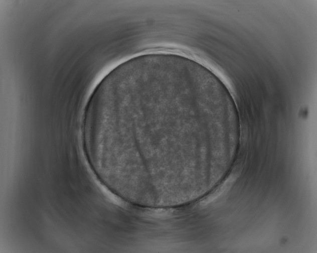 X0000100341533200807031246