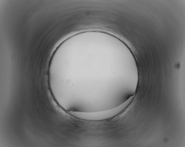 X0000100341534200807031246