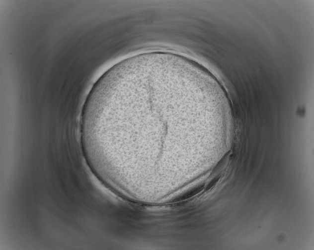 X0000100341535200807031246