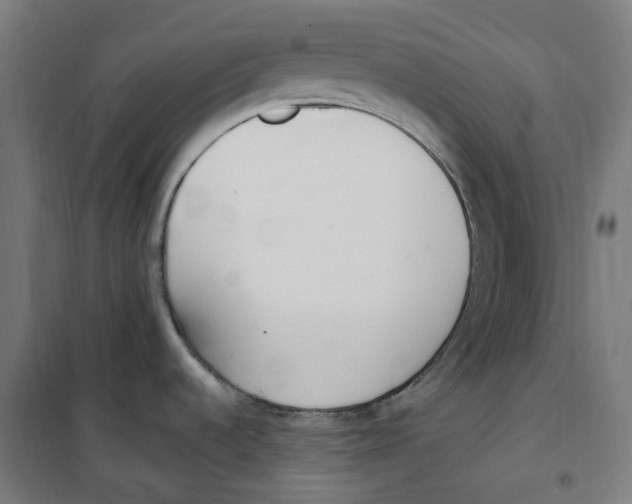 X0000100341536200807031246