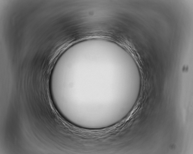 X0000100350001200806060811