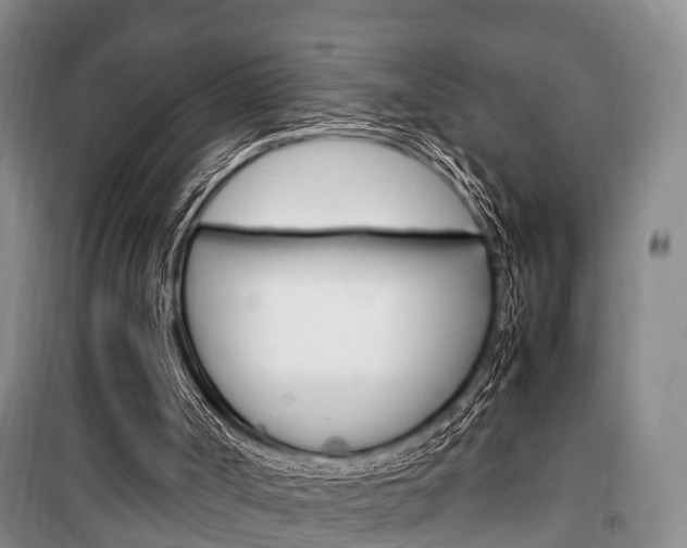 X0000100350002200806060811