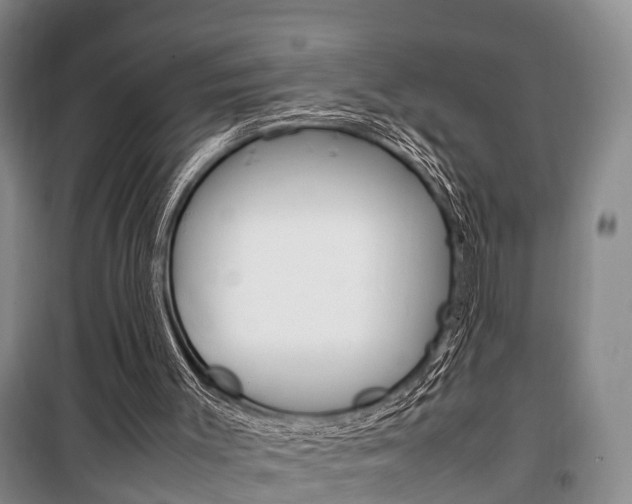 X0000100350003200806060811