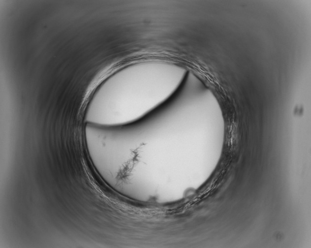 X0000100350004200806060811