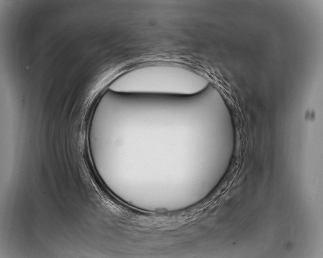 X0000100350005200806060810