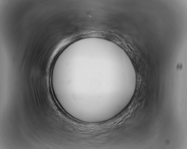X0000100350006200806060810