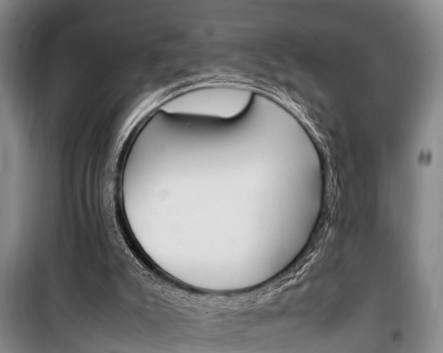 X0000100350007200806060810