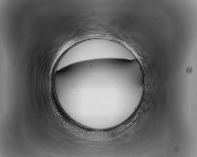X0000100350008200806060810