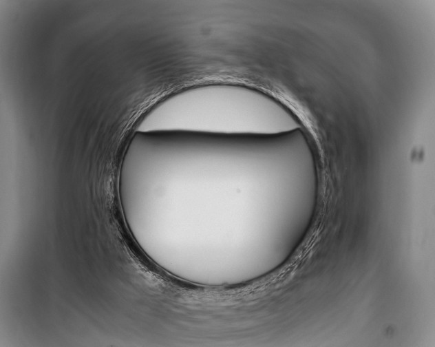 X0000100350009200806060810