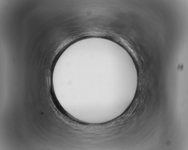X0000100350011200806060810